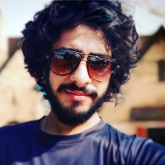 Aditya Chib, 22 года, Jammu