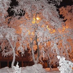 Виолетта Кочарова, Санкт-Петербург