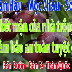 Stonedoan Đoàn, 36 лет, Hanoi