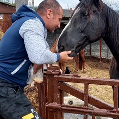 Калеми Сергей, 43 года, Бахчисарай