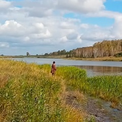 Дмитрий Строков, Новосибирск