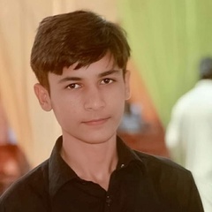 Dilawar Khan, 22 года