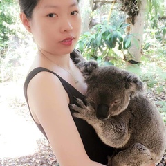 Jinzhu Lin, 37 лет, Sydney