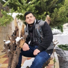 Ahed Salman, 24 года, Amman