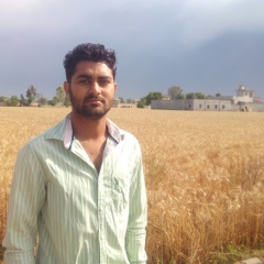 Pardeep Bhaika, 30 лет, Bathinda