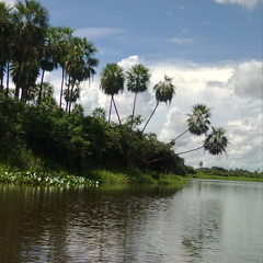 Melissa Dos-Santos, Itauguá