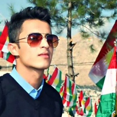 Hamed Kurdesh, 31 год, Duhok