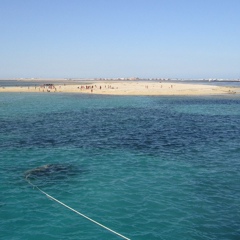 Манефа Полейман, Bat Yam