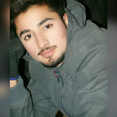 Aman Malik, 23 года, Karachi