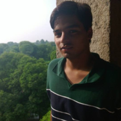 Abhishek Sehrawat, Delhi