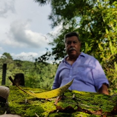 Marco Tejeda, Guadalajara