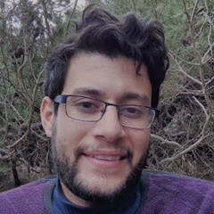 Mehdi Saiah, 31 год, Chlef