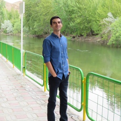 Javad Mansourian, 34 года, Shiraz