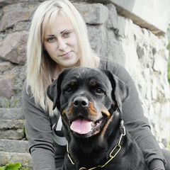 Sveta Rottweiler