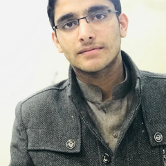 Zeeshan Abbasi, 26 лет