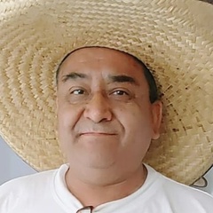 Moises Hernández, 66 лет, México