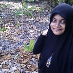 Noorie Ner, 28 лет, Hithadhoo