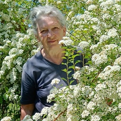 Галина Савельева, 70 лет, Курск