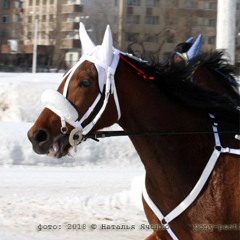 Вероника Грачева, Москва