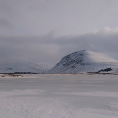 Ingvar Foíncheannaí, Reykjavík