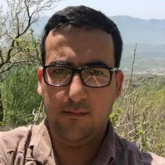 Ibra Khoshnawi, 38 лет, Erbil