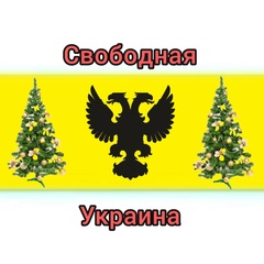 Алексей Родионов, 34 года, Великий Новгород