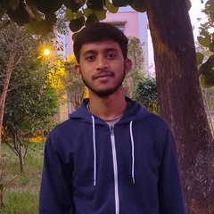 Koushik Chowdhury, 22 года, Kolkata