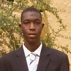 Ousmane Diane, Bamako