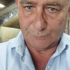 Stefano Bertini, 63 года, Lucca