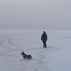 Сергей Телешев, Новосибирск