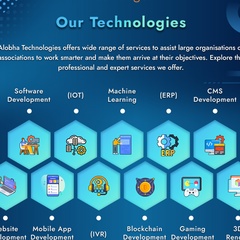 Alobha Technologies, 29 лет, Noida