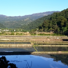 小布 陳, 39 лет, Kaohsiung