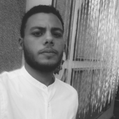 Wessam Mohamed, 29 лет, Alexandria