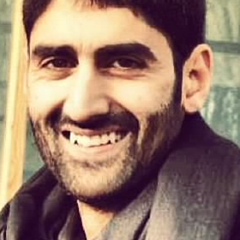 Faheel Abbas, 34 года, Srinagar