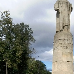 Александр Петренко, Воронеж