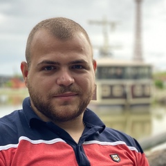 Nemanja Trajkovic, 29 лет, Beograd