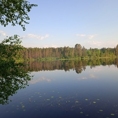 Алёна Иванова, Тукса