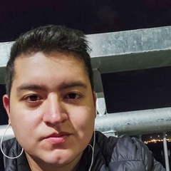 Alejandro Levier, 25 лет, Temuco