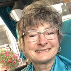 Sherrie Bjoraker, 66 лет, Traverse City