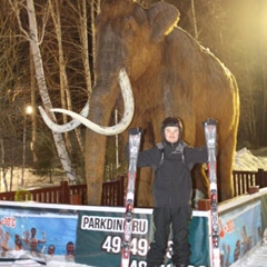 Дмитрий Бакшаев, 41 год, Нижний Тагил