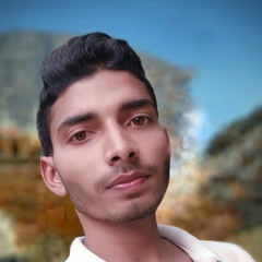 Anish Singh, 21 год, Delhi