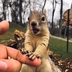 Светлана Сильчонок