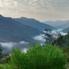 Faraz Laldin, Abbottabad