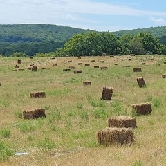 Тоня Мерзлякова, Ухта