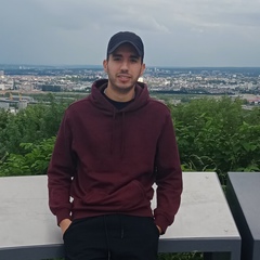 Radouane Azouzi, 26 лет, Mont-Saint-Aignan