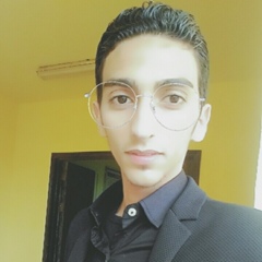 Ahmed Elmarakby, 28 лет