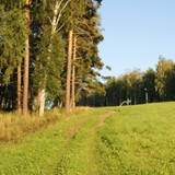 Дмитрий Щекольцев, Bonn