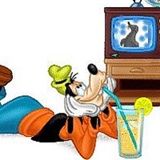 Goofy Goofy, Ташкент