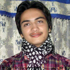 Faizan Shahid, 31 год, Lahore