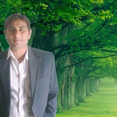 Jamshaid Shah, 37 лет, Bahawalpur